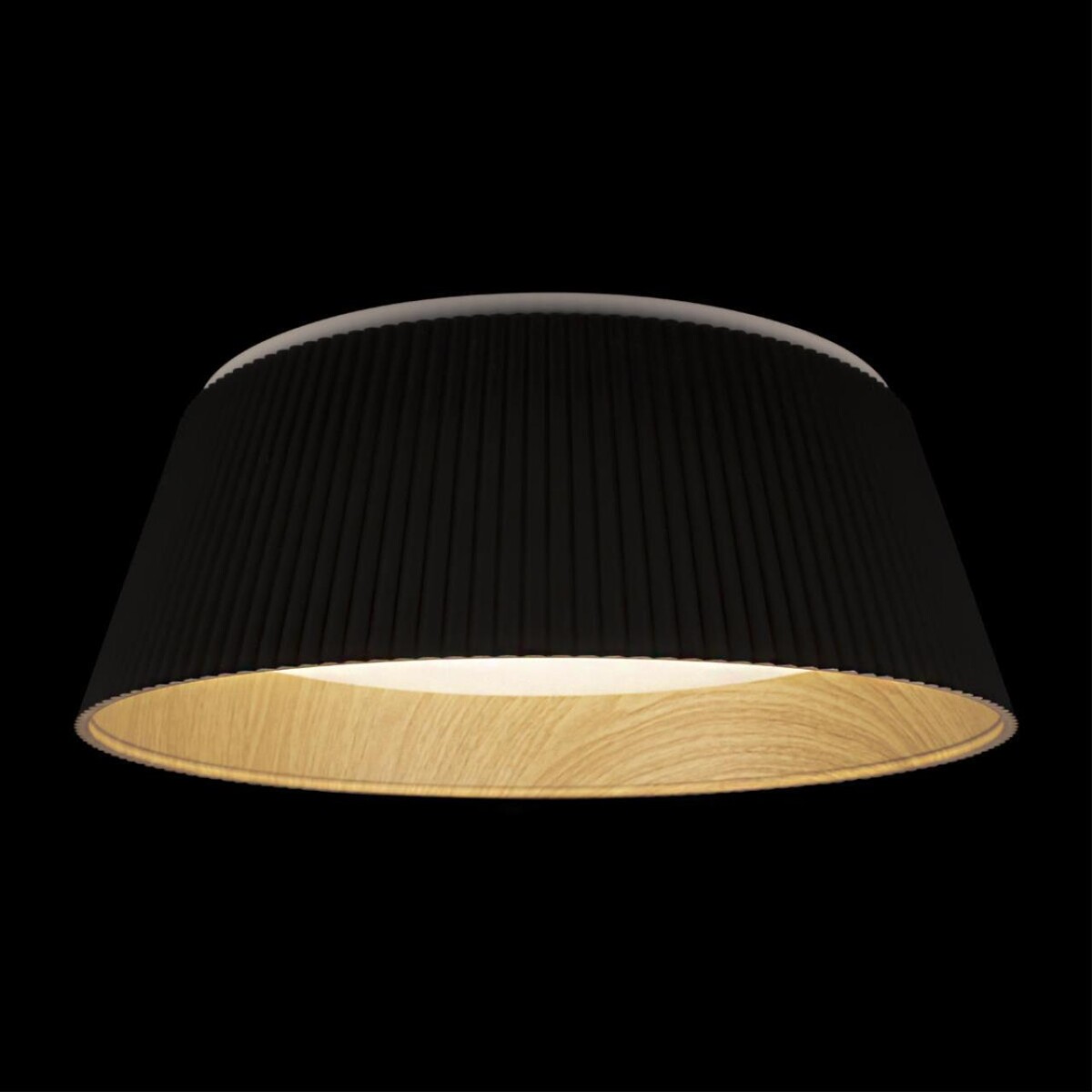 10224 Black Потолочный светильник LOFT IT Evans — изображение 2