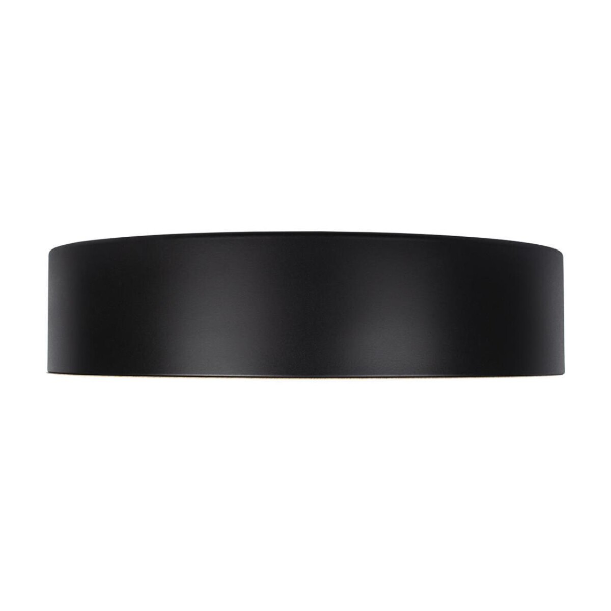 в наличии 10202 Black Потолочный светильник LOFT IT Coin - купить в интернет-магазине Светильники Торг