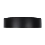 в наличии 10202 Black Потолочный светильник LOFT IT Coin - купить в интернет-магазине Светильники Торг