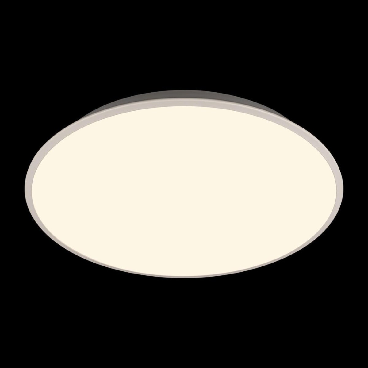 10226 White Потолочный светильник LOFT IT Brim — изображение 4