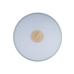 10003/24 Green Потолочный светильник LOFT IT Axel — изображение 3