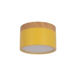 в наличии 10162 Yellow Накладной светильник LOFT IT Grape - купить в интернет-магазине Светильники Торг