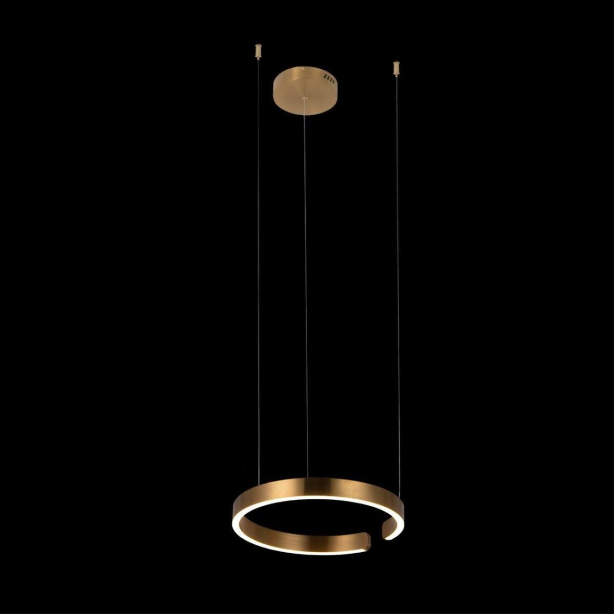 в наличии 10013S Подвесной светильник LOFT IT Ring - купить в интернет-магазине Светильники Торг