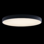 в наличии 10002/48 Black Потолочный светильник LOFT IT Axel - купить в интернет-магазине Светильники Торг