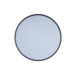 в наличии 10002/12 Black Потолочный светильник LOFT IT Axel - купить в интернет-магазине Светильники Торг