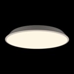 10226 White Потолочный светильник LOFT IT Brim — изображение 2