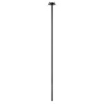 в наличии 10359/1200 Black Потолочный светильник LOFT IT Cane - купить в интернет-магазине Светильники Торг