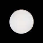 в наличии 10004/36 White Потолочный светильник LOFT IT Axel - купить в интернет-магазине Светильники Торг