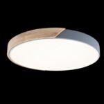 в наличии 10004/36 Grey Потолочный светильник LOFT IT Axel - купить в интернет-магазине Светильники Торг