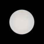 10002/48 White Потолочный светильник LOFT IT Axel — изображение 6