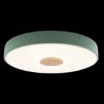 10003/24 Green Потолочный светильник LOFT IT Axel — изображение 2