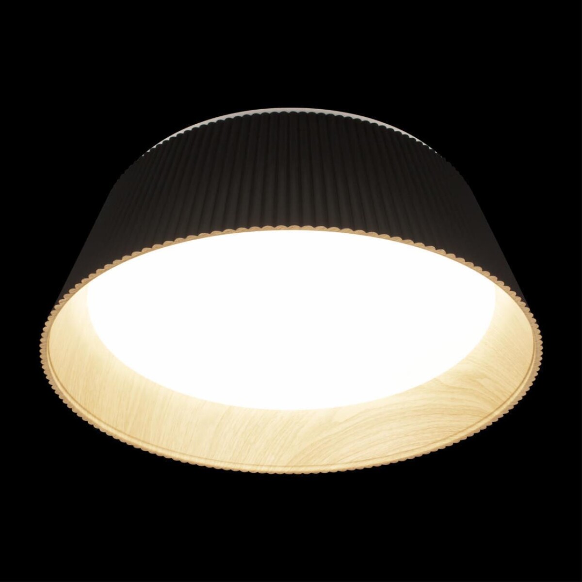 10224 Black Потолочный светильник LOFT IT Evans — изображение 4