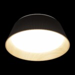 10224 Black Потолочный светильник LOFT IT Evans — изображение 4