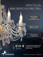 1736-8P — изображение 4