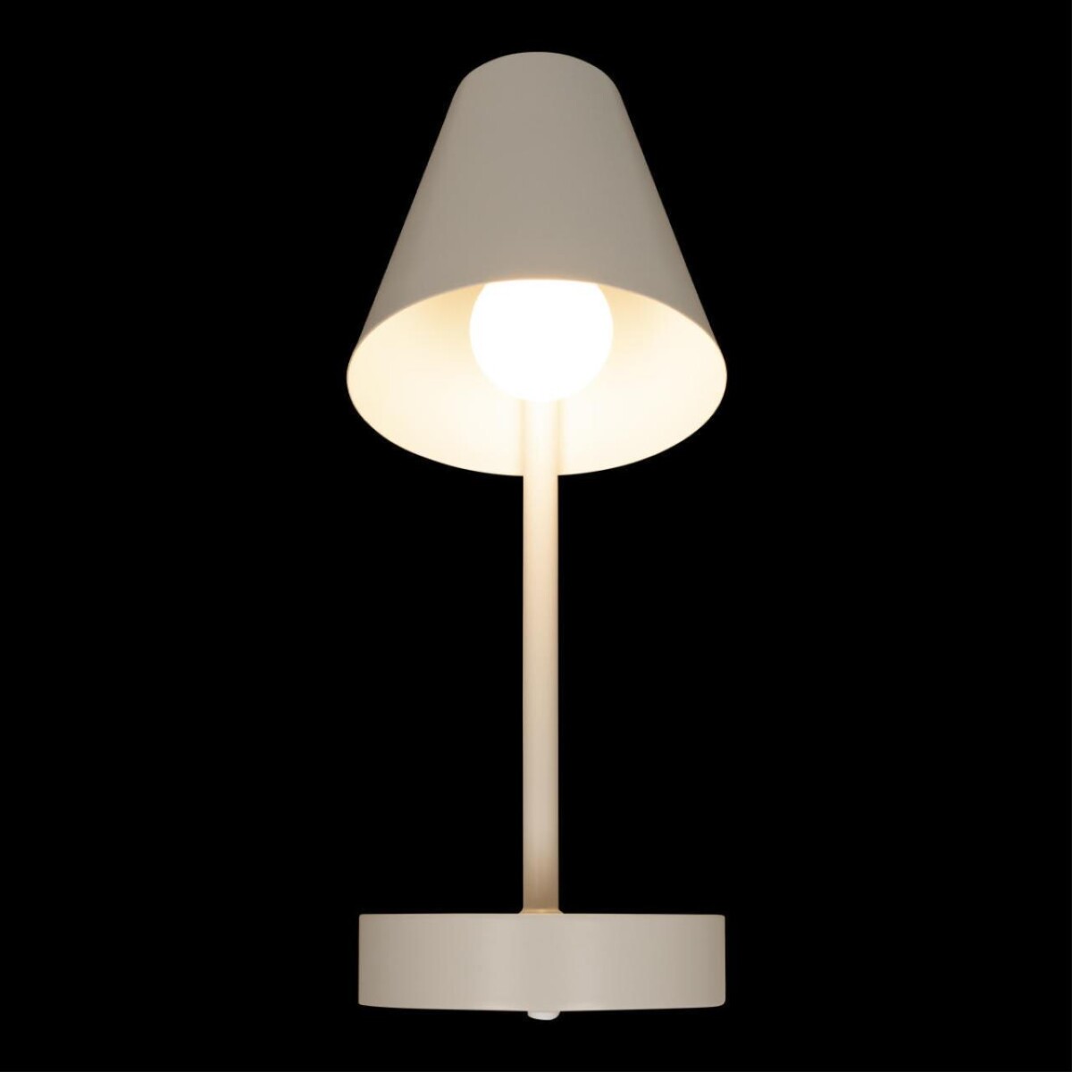 10216/1W White Настенный светильник LOFT IT Shelf — изображение 2