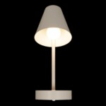 10216/1W White Настенный светильник LOFT IT Shelf — изображение 2