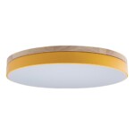 в наличии 10001/36 Yellow Потолочный светильник LOFT IT Axel - купить в интернет-магазине Светильники Торг