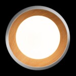 в наличии 10255/500 White Потолочный светильник LOFT IT Folk - купить в интернет-магазине Светильники Торг