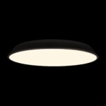 10226 Black Потолочный светильник LOFT IT Brim — изображение 2