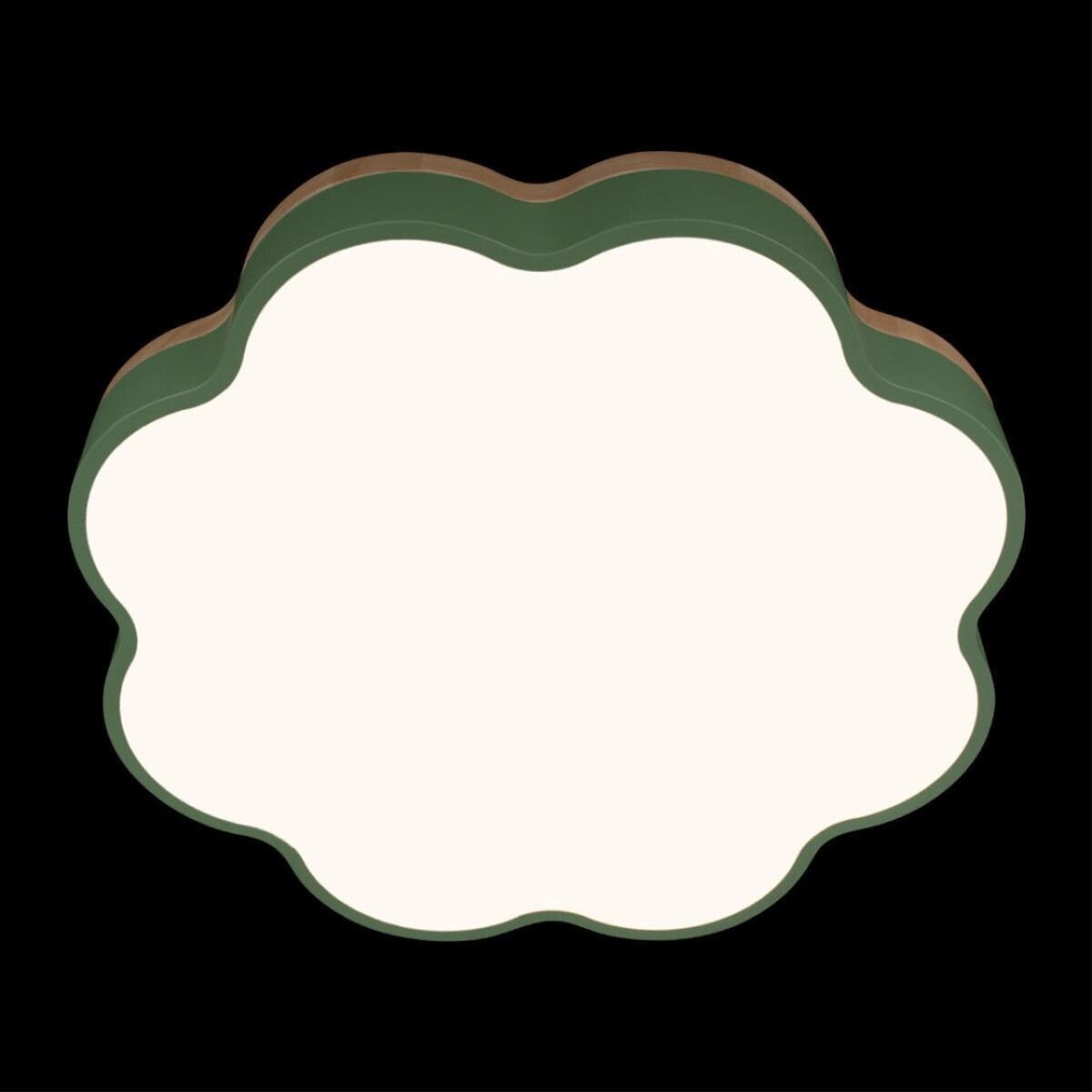 10225/36 Green Потолочный светильник LOFT IT Axel — изображение 6