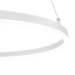 Escada 10254/1 LED*43W White APP — изображение 5