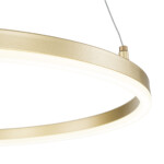 Escada 10254/1 LED*43W Gold APP — изображение 5