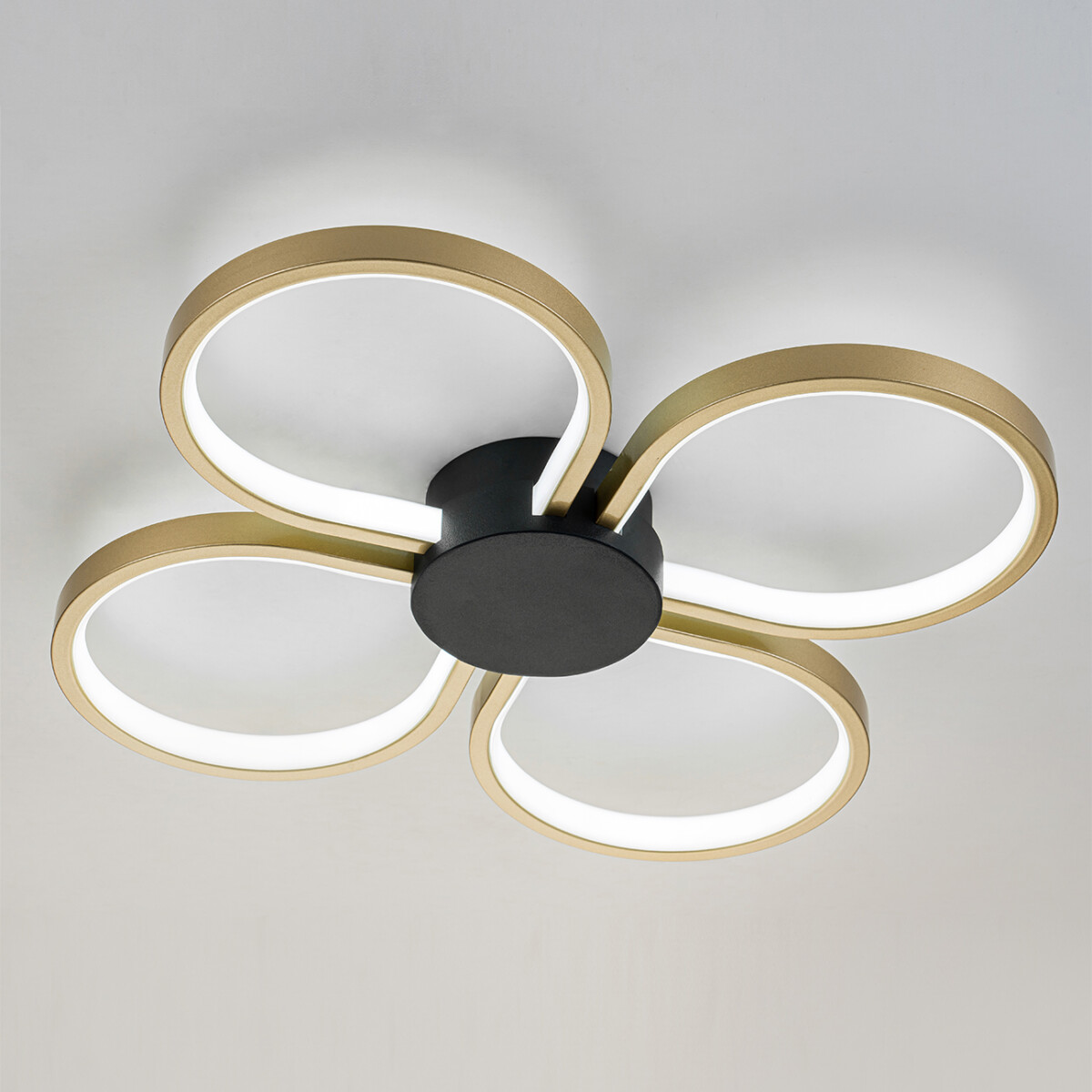 Escada 10243/4 LED 80W Gold/Black — изображение 4