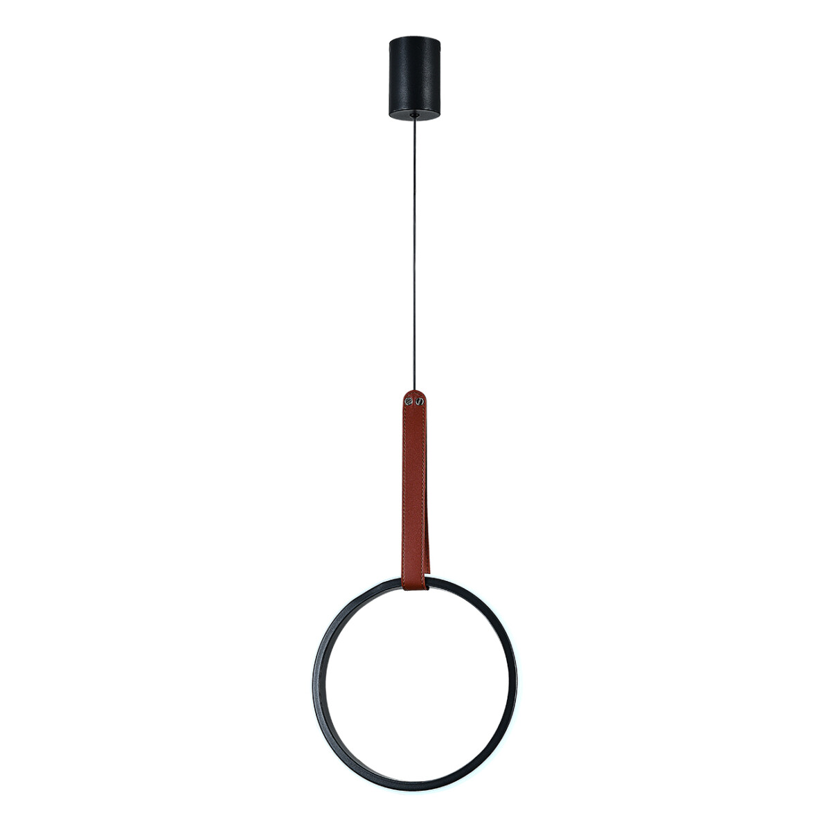 l116640 Escada 10295/1 LED*30W Black — изображение 1