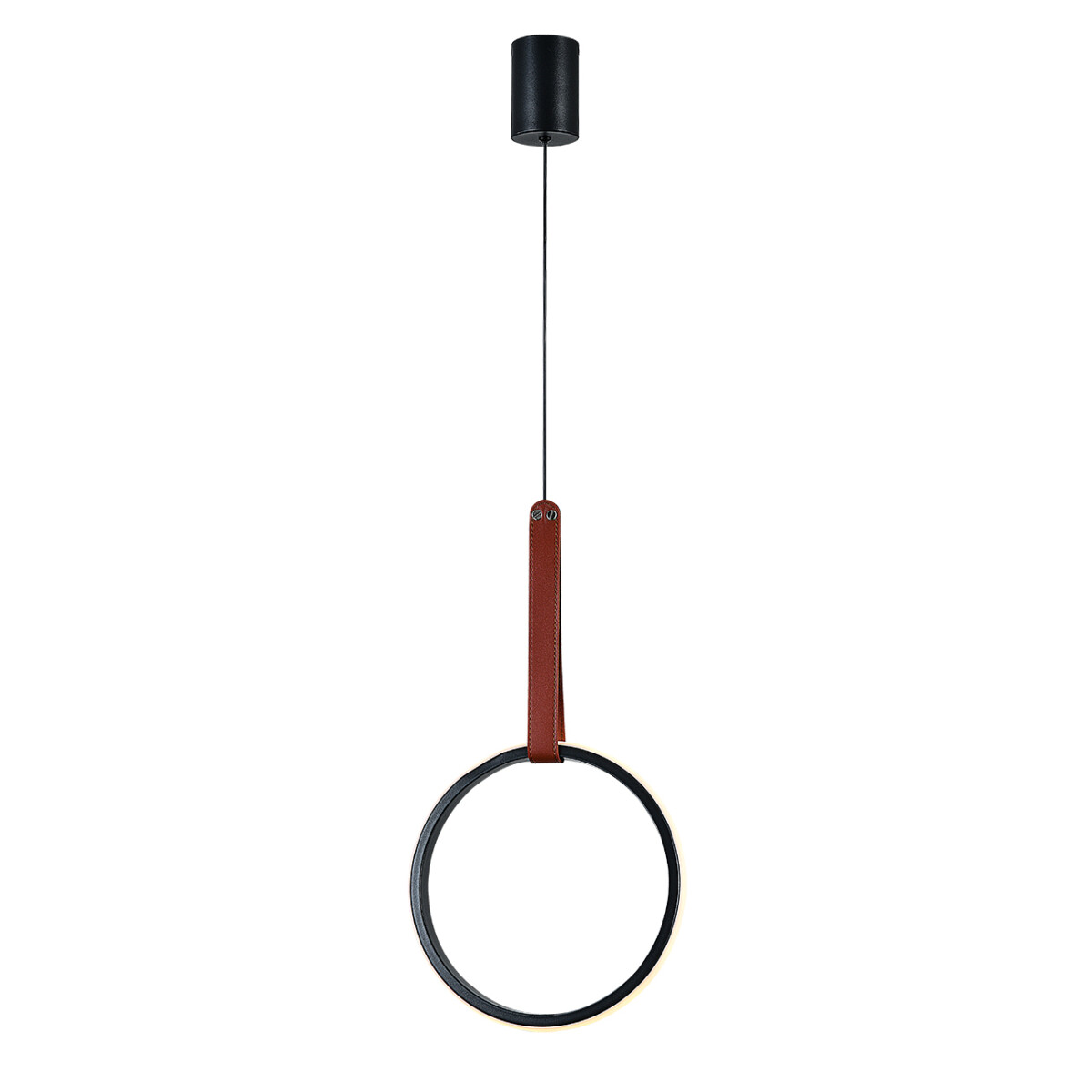 Escada 10295/1 LED*30W Black — изображение 3