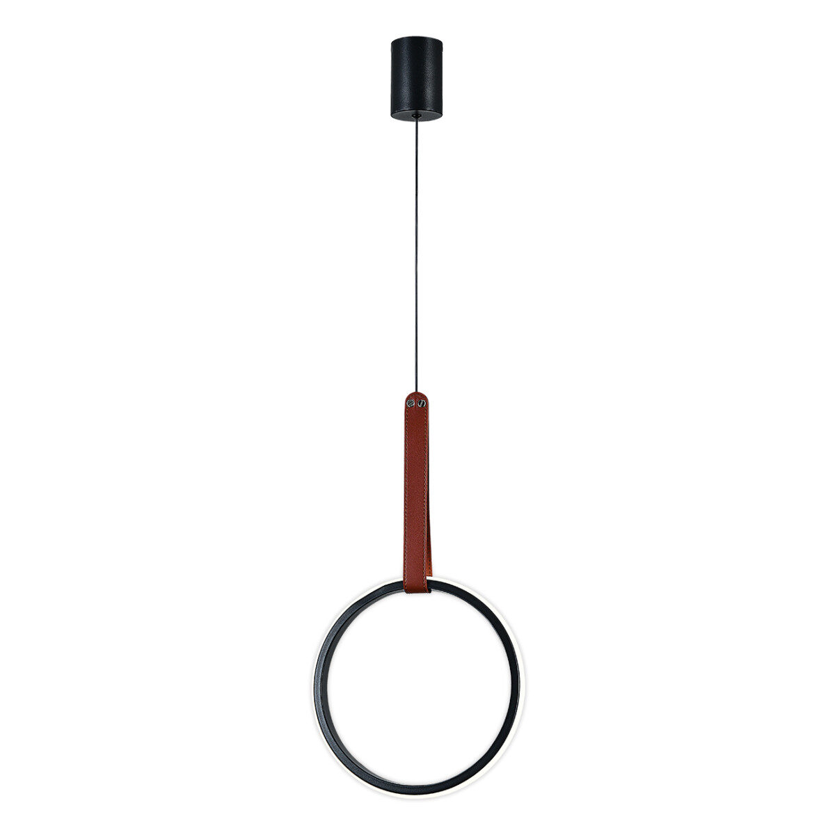 Escada 10295/1 LED*30W Black — изображение 4