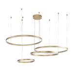 14001/4P Gold — изображение 2