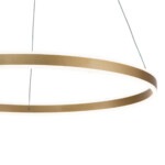 14001/1P Gold — изображение 4