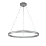 14001/1P Silver — изображение 2