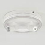 Escada 20044SMA/03 LED 43W 4000K белый — изображение 3