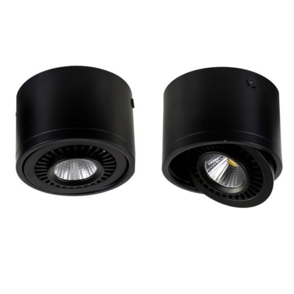 1779-1C, потолочный светильник, D112xH85, 1xLEDx12W, AC:100-240V, 960LM, RA>80, IP21, 960LM, 4000K, included