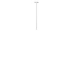 10359/500 White Потолочный светильник LOFT IT Cane — изображение 3
