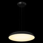 10371P Black Подвесной светильник LOFT IT Dime — изображение 2