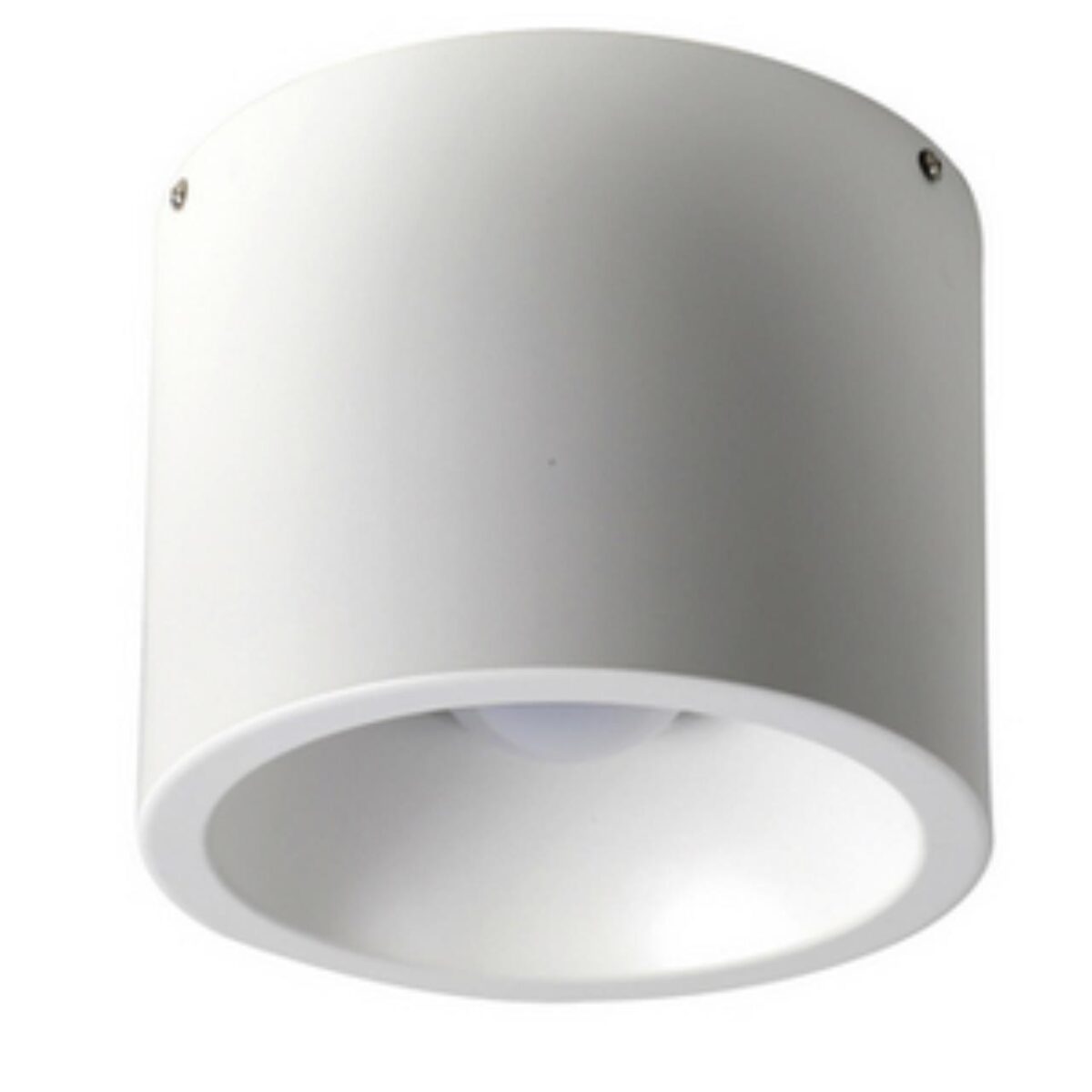 1993-1C, потолочный светильник, D225xH165, SMD LEDx24W, 1840LM, 4000K, included — изображение 1