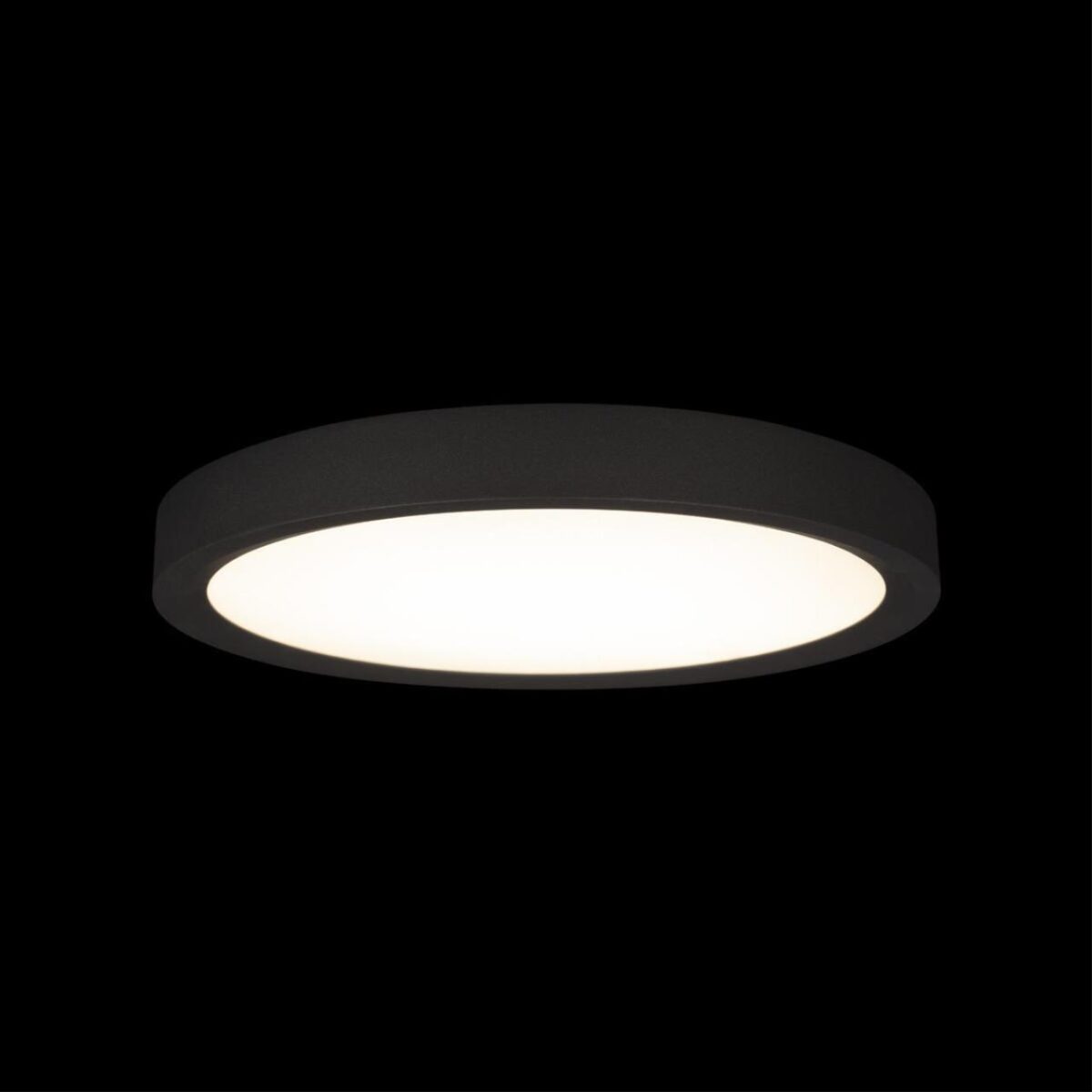 10227/24 Black Потолочный светильник LOFT IT Extraslim — изображение 4