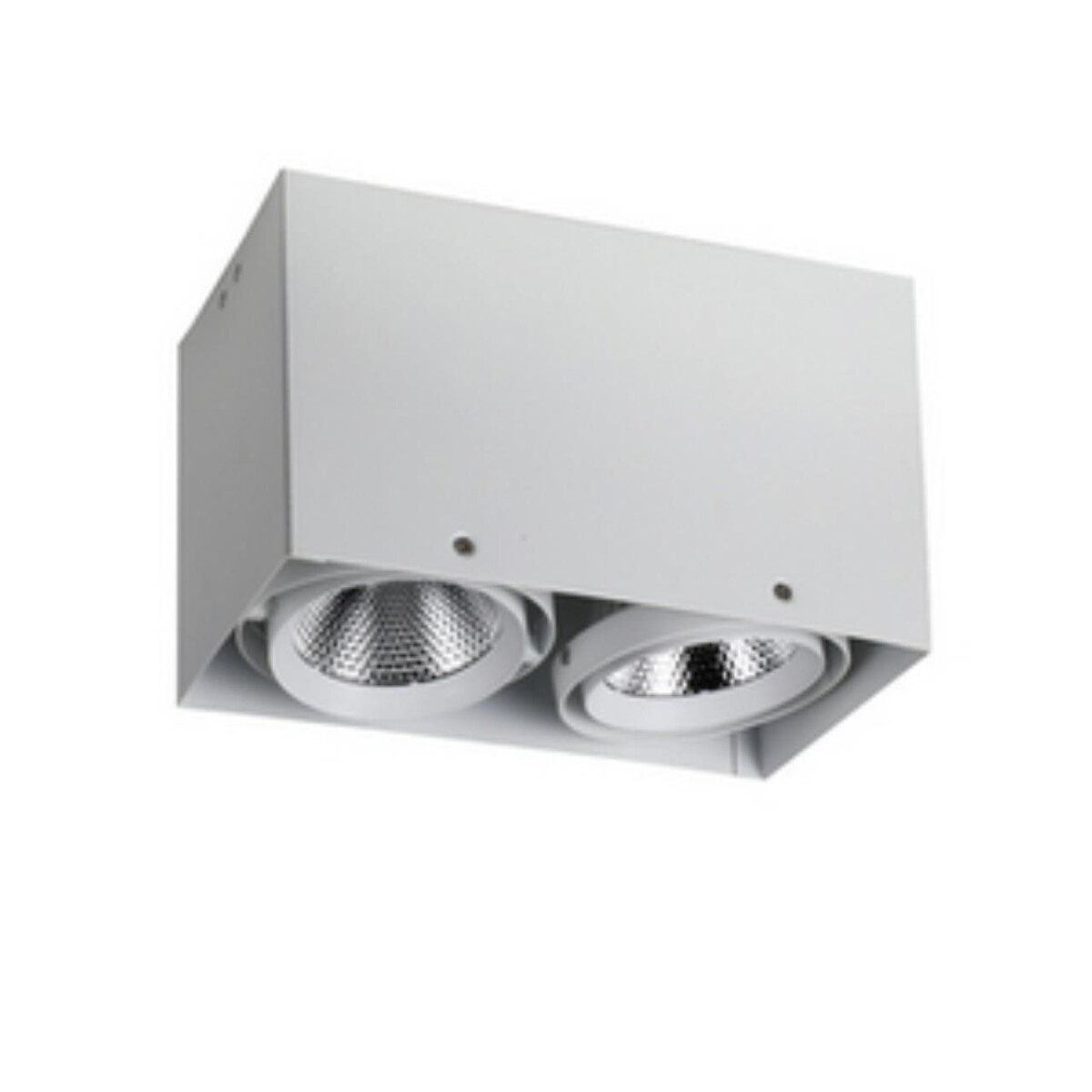 1986-2U, потолочный светильник, L265xW140xH160, COB 2xLEDx12W, RA>80, BEAM ANGLE:24°, 1920LM, 4000K, included — изображение 1