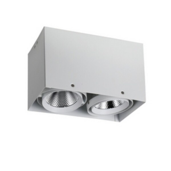 1986-2U, потолочный светильник, L265xW140xH160, COB 2xLEDx12W, RA>80, BEAM ANGLE:24°, 1920LM, 4000K, included