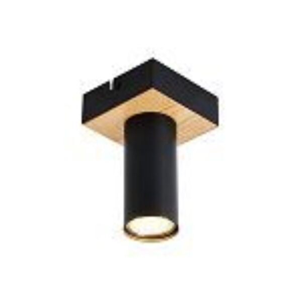 4431-1C, потолочный светильник, L100xW100xH155, 1xGU10x50W, excluded