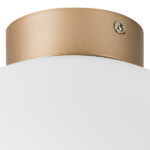 в наличии 812033 Люстра GLOBO 1х40W E14 ШАМПАНЬ/БЕЛЫЙ - купить в интернет-магазине Светильники Торг