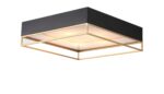 SL1127.422.05 Светильник потолочный ST-Luce Черный, Матовое золото/Белый E27 5*40W ХОДО — изображение 2