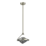 SL6115.103.01 Светильник потолочный  ST-Luce Никель/Дымчато-Серый LED 1*19W 3000K АМАРА — изображение 2