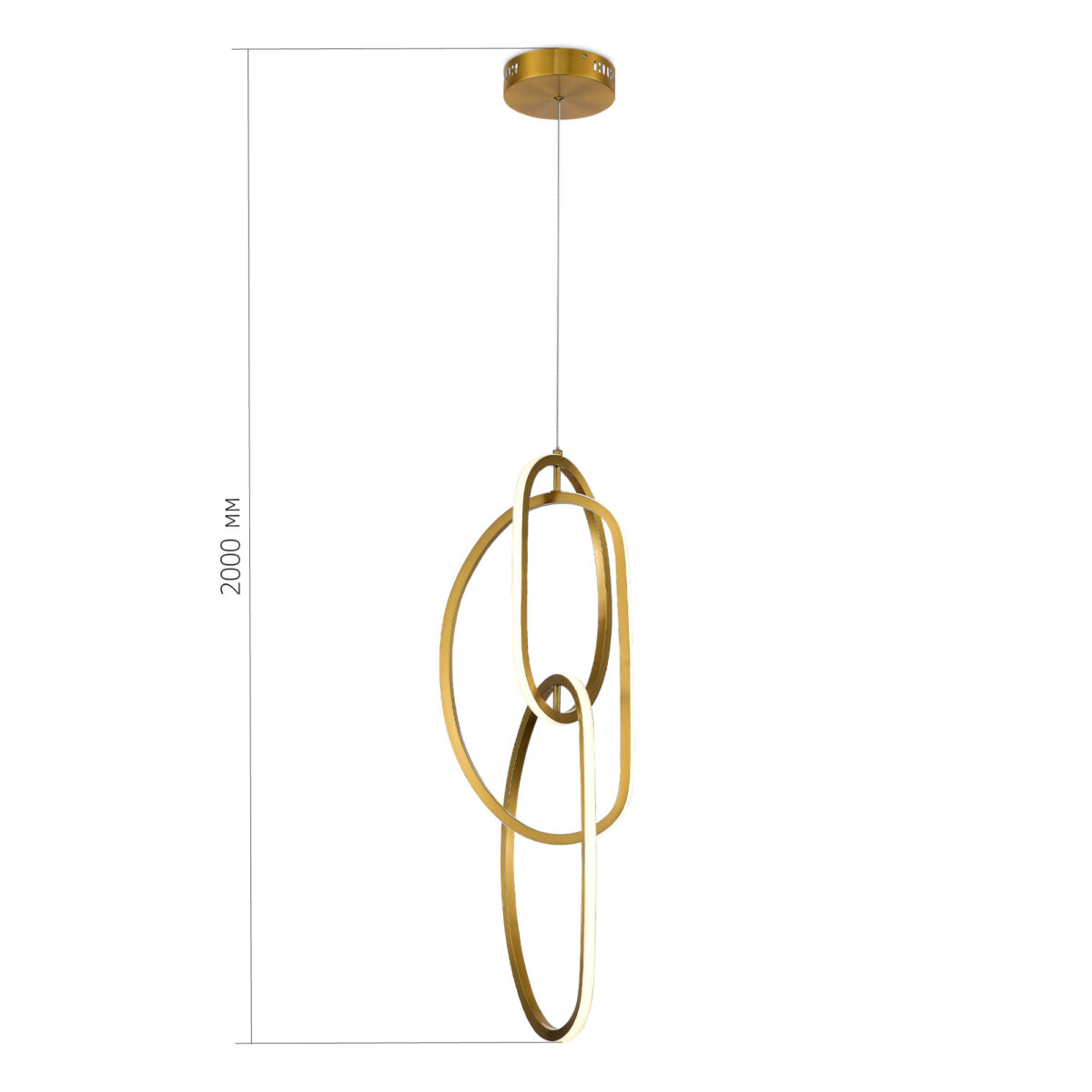 SL6505.213.42 Подвес ST-Luce Золотистый/Золотистый LED 1*42W 4000K АБРА — изображение 4