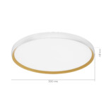 SLE1810-502-01 Светильник потолочный Белый, Золотистый/белая LED 1*42W 4000K HELST — изображение 2