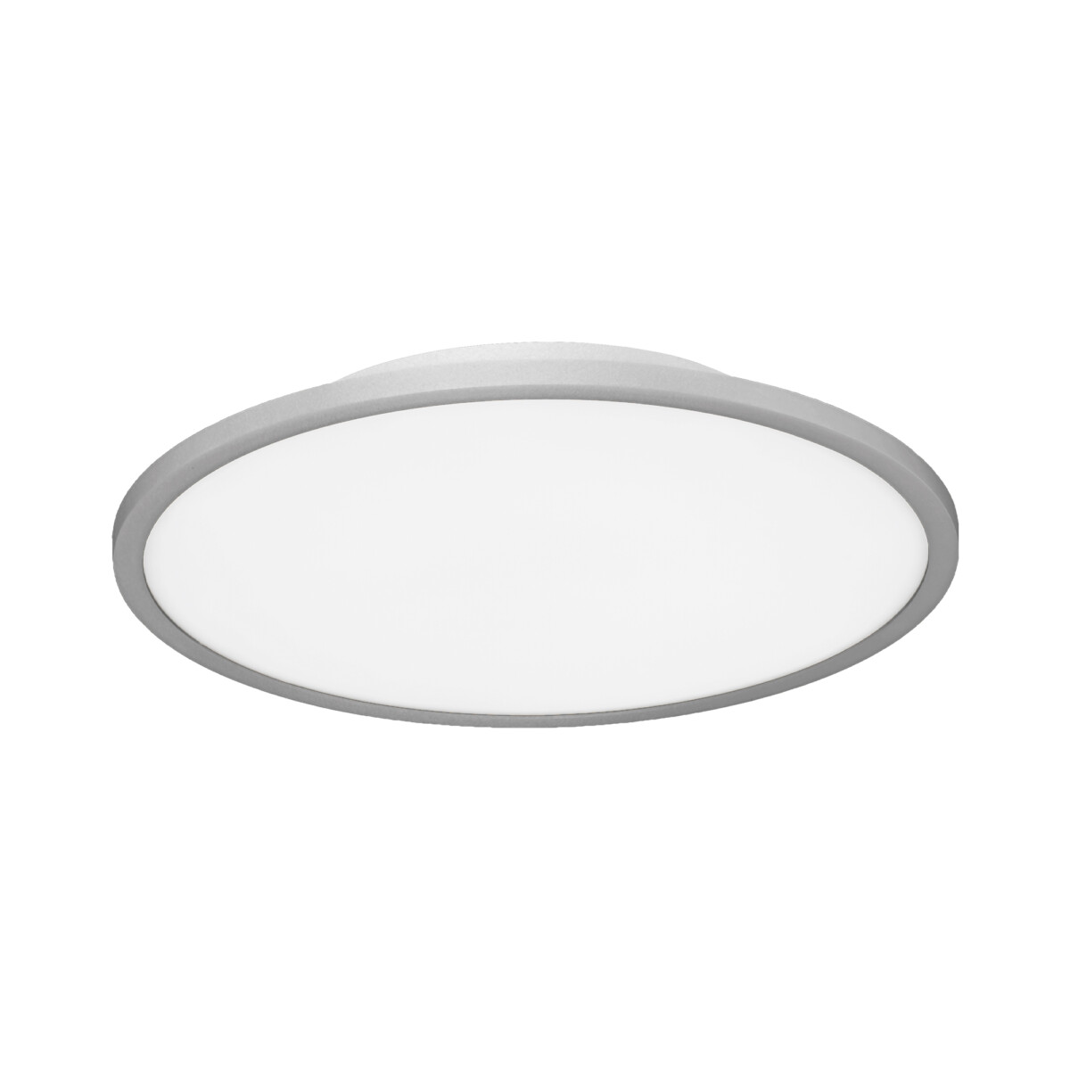 SLE1811-102-01 Светильник потолочный Серебрянный/белая LED 1*42W 4000K TASSEN — изображение 1