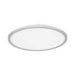 SLE1811-502-01 Светильник потолочный Белый/белая LED 1*42W 4000K TASSEN