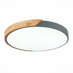 SLE200972-01 Светильник потолочный Серый, Светлое дерево/Белый LED 1*45W 3000K/4000K/6000K ФЕСТА — изображение 3